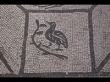 08229 ostia - regio v - insula ii - domus della fortuna annonaria (v,ii,8) - raum (9) - mosaik - vogel.jpg